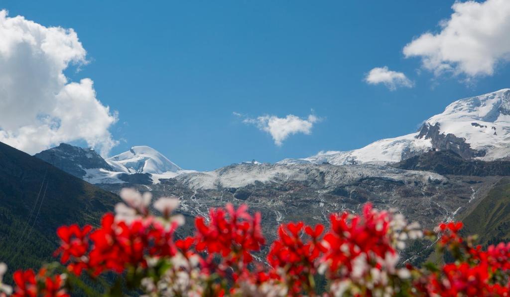 Artemis Easy Stay Self Check In-Out Saas-Fee Cameră foto